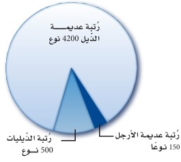 رسم بياني